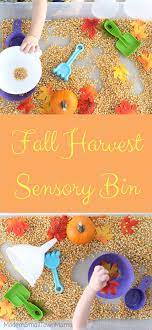 Not only do they provide a fun sensory experience, but they also teach children more about the properties of a particular item. Fall Harvest Sensory Bin Harvest Activities Harvest Crafts For Kids Preschool Harvest