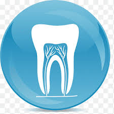 Maybe you would like to learn more about one of these? Tooth Illustration Collage Endodontic Therapy Root Canal Endodontics Dentistry Dentistry Hand Tooth Decay Png Pngegg