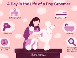 $31,000 to $35,000.00 per year come join our amazing team of professional pet groomers! Dog Groomer Job Description Salary Skills More
