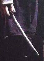 She was also highly capable with performing charms, conjuration and martial magic. Delphini Harry Potter Wiki Fandom