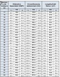 Su peso es, aproximadamente, de 1.918 gramos. Peso Del Bebe En La Semana 33 34 Club Enero 2019 Embarazo Y Bebes Babycenter