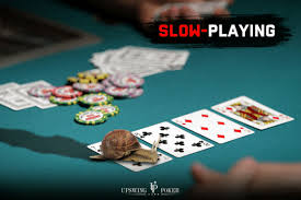 Strategies for Playing Togelup Like a Pro