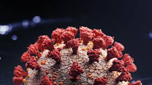 It was first identified in december 2019 in wuhan,. Estudo Aponta Que Variante Delta E A Mais Contagiosa