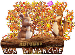 RÃ©sultat de recherche d'images pour "gif anime bon dimanche"