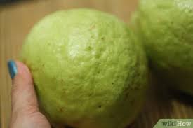 Kutipan teks tersebut merupakan teks eksposisi pola. Cara Makan Jambu Biji 12 Langkah Dengan Gambar Wikihow
