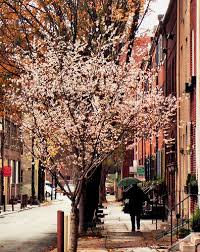 Washington Square West Philadelphia Washington Square Washington Square Park Street