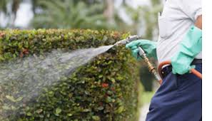 Request your free home estimate. Dallas Pest Control Home Run Pest Termite Control