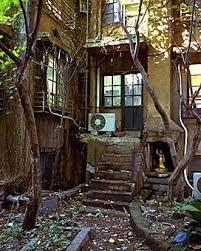 青山同潤会アパート 13 風景 廃墟 画像 古い家屋