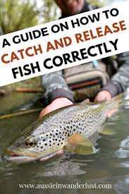 Catch And Release Fishing A Step By Step Guide On How To Do It Fish World Travel Guide Guide