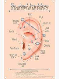Pin By Dudewhoismarisol On Piercing In 2021 Piercing Chart Types Of Ear Piercings Ear Piercings