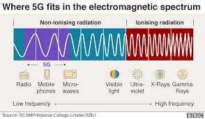 Because colon and rectal cancers are often referred to as colorectal cancers, these two cancer types are combined for the list. Does 5g Pose Health Risks Bbc News