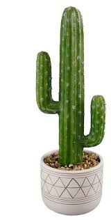 Monstrose apple cactus (cereus peruvianus monstrose) is a slower growing monstrose form of cereus peruvianus. Tall Faux Tall Ceramic Cactus Hand Painted Cermaic Pot 8 Southwestern Artificial Plants And Trees By Flora Bunda Inc Houzz