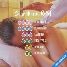 We did not find results for: Soar Muscle Relief Essential Oil Diffuser Blend Lavenderessentialoil Muscle Relief Essential Oil Essential Oil Diffuser Blends Recipes Essential Oil Blends