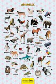 Pin By Melda Yigit On Ilkokul Picture Dictionary Learn English Preschool Activities