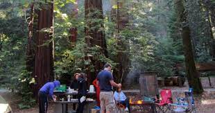 Go camping in the majestic portola redwoods state park prepared for the kind of cool fog and occasional summer rain that makes the park so abundantly fertile. Portola Redwoods Campground Portola Redwoods Ca 9 Hipcamper Reviews And 50 Photos