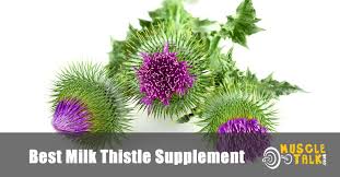 Neutranetics liversmart milk thistle extract farmhaven milk thistle capsules Best Milk Thistle Supplement Roundup And Guide Uk Reviews