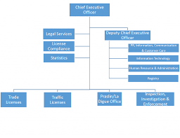 Organization Structure Seychelles Licensing Authority