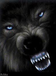 Maybe you would like to learn more about one of these? Angry Anime Wolf Eyes