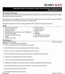 best buy sales associate resume: retail