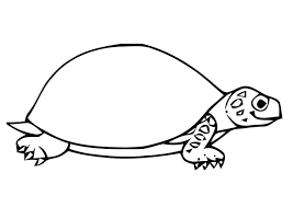 We studied some of the ways in which we colored a background for our prints using construction paper crayons, though if i taught this lesson again a solid color would help the prints to. Coloring Page Tortoise Free Printable Coloring Pages Img 19636