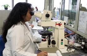 Leadership experience in area of sustained research. Nurse Researcher Career Outlook Regis College Online