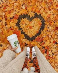 Lena Saibel On Instagram H A P P Y F R I D A Y H A P P Y W E E K E N D Autumn Fall Fall Fall Photoshoot Autumn Cozy