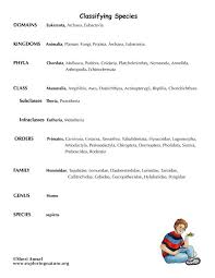 About Classification How It Works