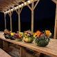 Pumpkin Centerpiece Workshop with Big Hart Farm event image