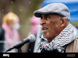 Black panthers hi-res stock photography and images