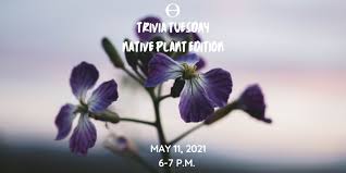 There are thousands of varieties, which makes identifying succulents a challenge. Trivia Tuesday Native Plants Ecology Ottawa