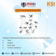 Check spelling or type a new query. Posi Contoh Soal Olimpiade Biologi Posi Tingkat Smp Ya Coba Kamu Kerjakan Aktifkan Notifikasinya Untuk Dapatkan Update Terbaru Seputar Olimpiade Soal Soal Olimpiade Dan Info Menarik Lainnya Loh Kontak Person