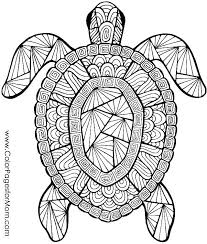 Alphabet, cartoons, celebrities, numbers, fruits and vegetables, transportation e.t.c. Colouring Pages For Adults Hard Coloring Pages For Kids Turtle Coloring Pages Abstract Coloring Pages Detailed Coloring Pages