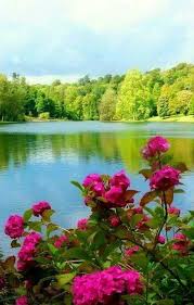 I Woke Up Near The Lake The Next Morning There Were Flowers Again Earlier In My Journey I M Beautiful Nature Beautiful Nature Pictures Beautiful Landscapes