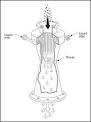 Gas Scrubber Venturi Scrubber - Bionomic Industries