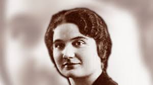 News, articoli e comunicati