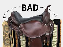 How To Choose The Proper Saddle Pad