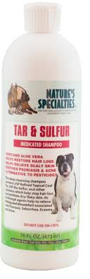 Dog Dandruff This Is How To Fix It In 15 Minutes Dog Dandruff Natural Dog Shampoo Dog Skin