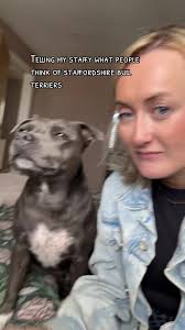 Understanding Staffordshire Bull Terriers: Staffy Love