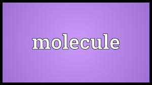 Molecule Meaning Youtube