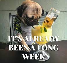 Tuesday as any other day of the week can bring you both pleasant and unpleasant surprises. Tuesday Memes Funny Happy Tuesday Pictures