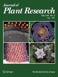 Small bunch of flowers that may droop in the centre. Journal Of Plant Research Journal Of Plant Research Cover Gallery