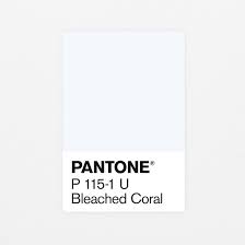 Bleached Coral Pantone Of The Year 2020 Pantone Color Of The Year Coral Decor