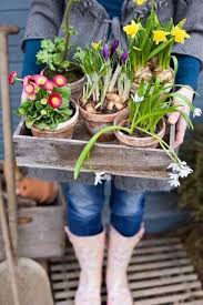 Mit Ein Paar Blumen Im Garten Blumenbeeten Deko Ideen Fur Den Garten Fruhlingsdekoration Fruhlingsdeko Oder Besonde Fruhlingsgarten Fruhling Blumen Pflanzen
