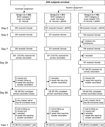 intradermal post exposure rabies vaccination with purified