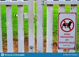 Wir wissen doch gar nicht wer du bist. Hunde Verboten Schild Beim Eintritt In Sportgelande Stockbild Bild Von Zeichen Field 146517373