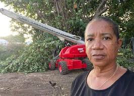 Land tax protester says efforts made to clean her road