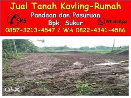 Total ada 50 unit kavling dan sdh terjual 35 unit. Tanah Kavling Nampes Pandaan 0822 4341 4586 Wa 0857 3213 4547 Jual Rumah Dan Tanah Pandaan Pasuruan Jawa Timur Rumah Dijual Di Pandaanpasuruan