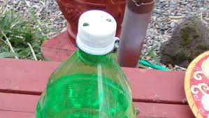 Plant your tomato plant and bury the jug (with the hole toward the plant), up to the neck next to the plant. Gardening Tip Diy Slow Drip System Perfect For Tomato Plants