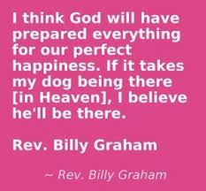  Billy Graham Dog Quotes Favorite Quotes Puppy Love