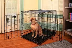 Professional dog trainer kurtis swinson, shows some fun crate games for your puppy to make the crate amazing place to hang. The Best Dog Crate Reviews By Wirecutter